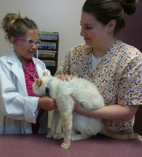 #37 ''When I grow up, I want to be...'' Have a child dress up as what they want to be when they grow up (lawyer, doctor, ballerina, dragon-slayer, etc.). Then stage the photo in the environment they would be working in.