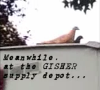 #110 (Video) The NSA is watching us. They’re reading our texts and emails and listening to our phone calls. The post office is just another branch of the government, so we can’t trust them either. There is really only one truly secure way to send messages these days... carrier pigeon. Using a carrier pigeon, send a GISHWHES shopping list with your team name on it from one location to another. We must see the pigeon arriving at its destination with the shopping list and see the list unfurled.