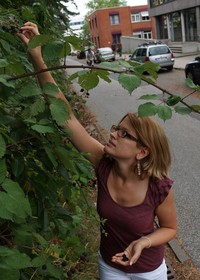 #117  Collect fruit from a tree on from which the fruit hangs over a public sidewalk. Make jam from the fruit. Eat it. 