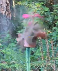 #149 (Video) Shoot a potted plant off a fence post with a potato canon. Not a potato gun, a potato canon.