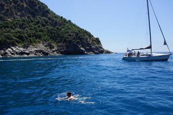 Enjoying the water, before tearing up his foot...