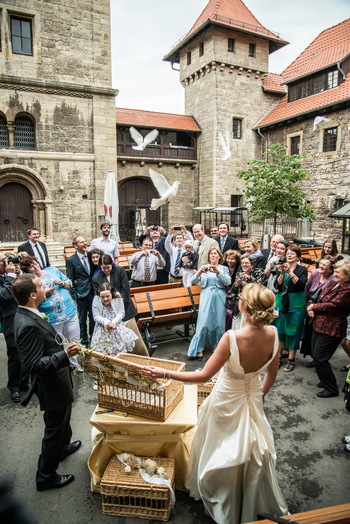 Hier kommt die Freiheit ihr lieben Tauben.