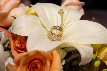 Our rings were handmade by a little Goldschmied (gold smith) in the town of Apolde, near Vest Wachsenburg.